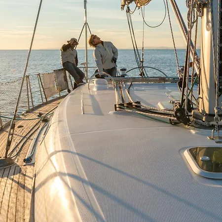 Botel Carbone-free *